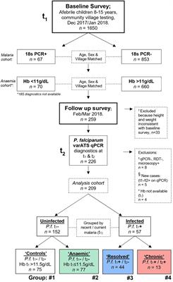 ‘Bouncing Back’ From Subclinical Malaria: Inflammation and Erythrocytosis After Resolution of P. falciparum Infection in Gambian Children